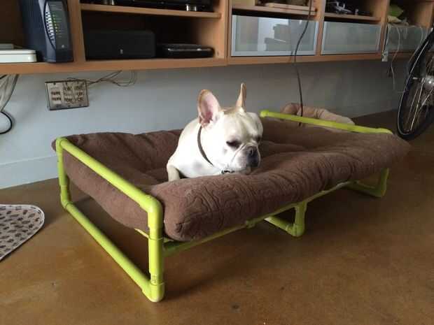 Tubo de PVC levantó la cama del perro / Paso 7 Añadir perros