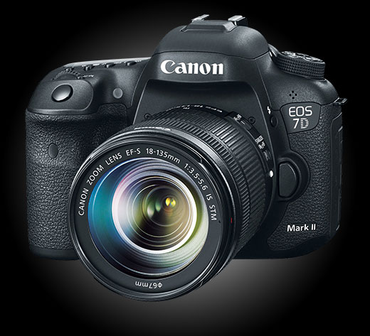 Kamera Canon Eos 7D Mark Ii Yang Canggih - Foto.co.id