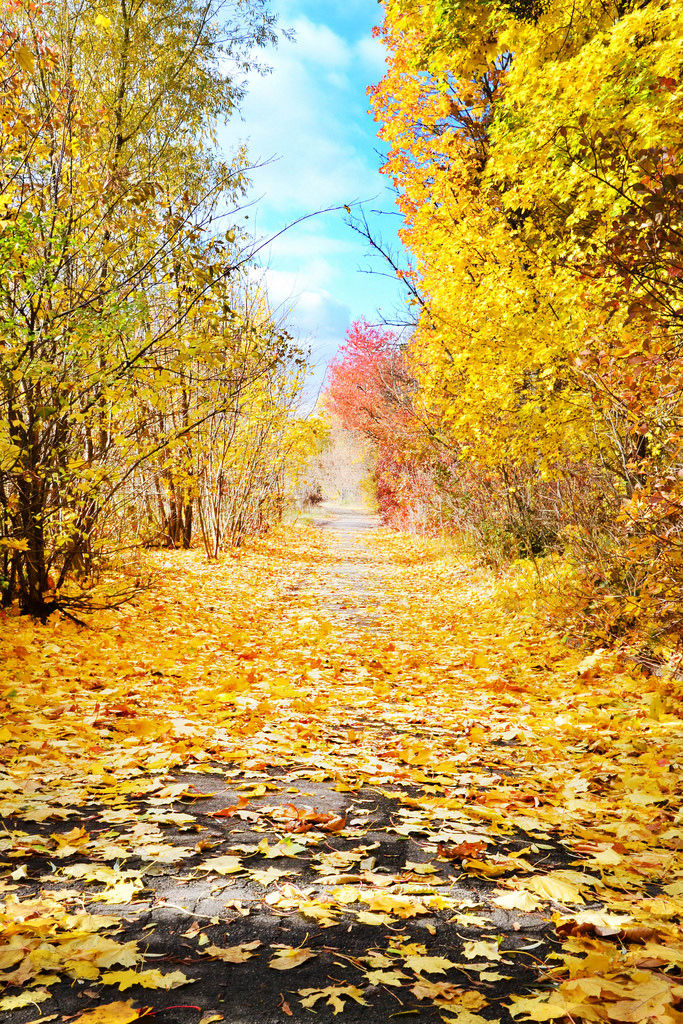 Namensschild Frau Herbst Creative Commons Bilder