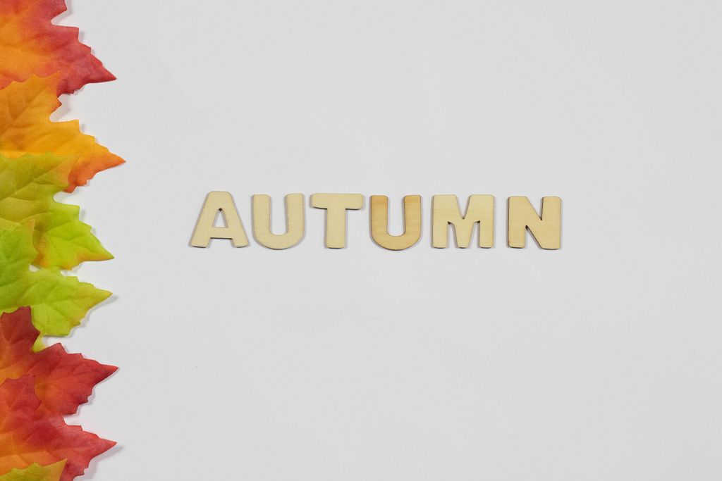 Burning candle in original candlestick with pumpkin and autumn leaves