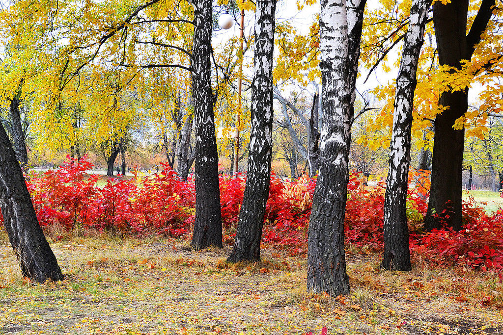 Namensschild Frau Herbst Creative Commons Bilder
