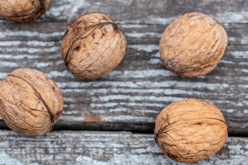 Fresh whole walnuts Creative Commons Bilder