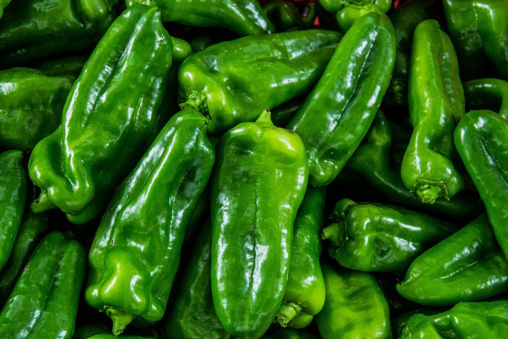 Yellow peppers, red peppers, green peppers and cherry tomatoes