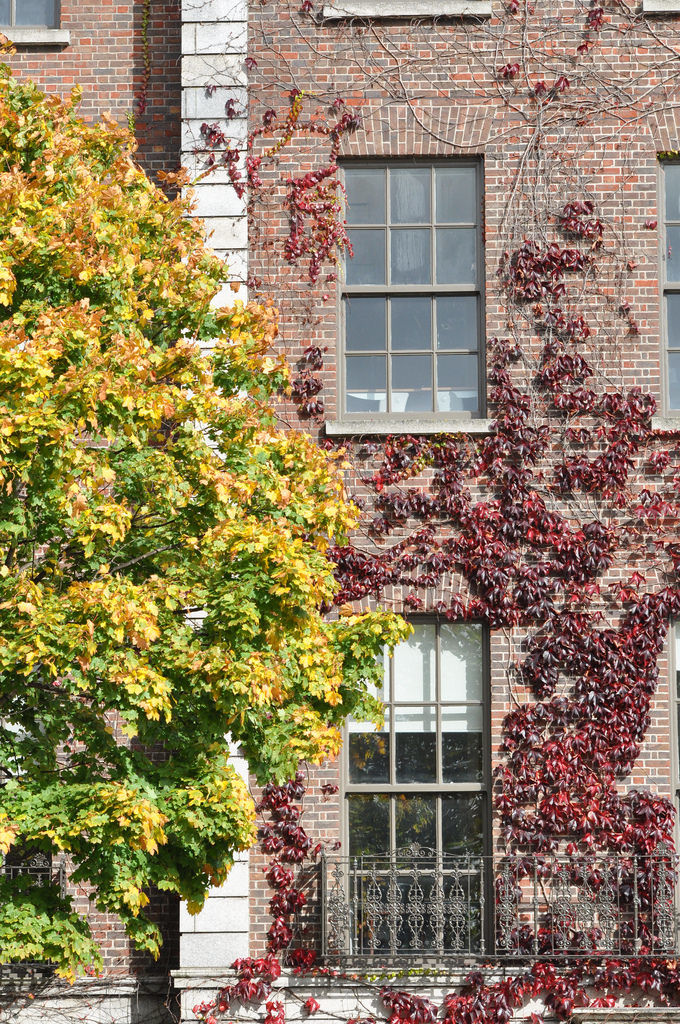 Herbst / Autumn Creative Commons Bilder