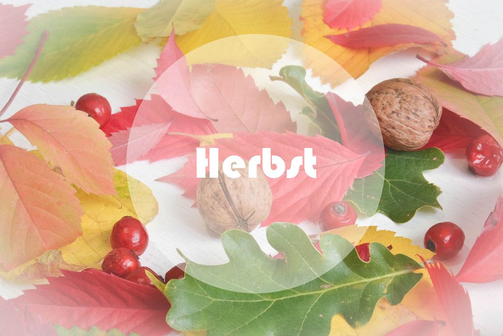Herbst Creative Commons Bilder