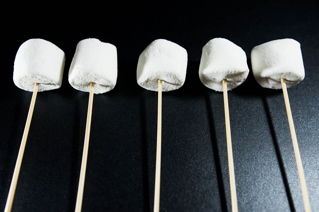 Marshmallows on sticks in a row Creative Commons Bilder