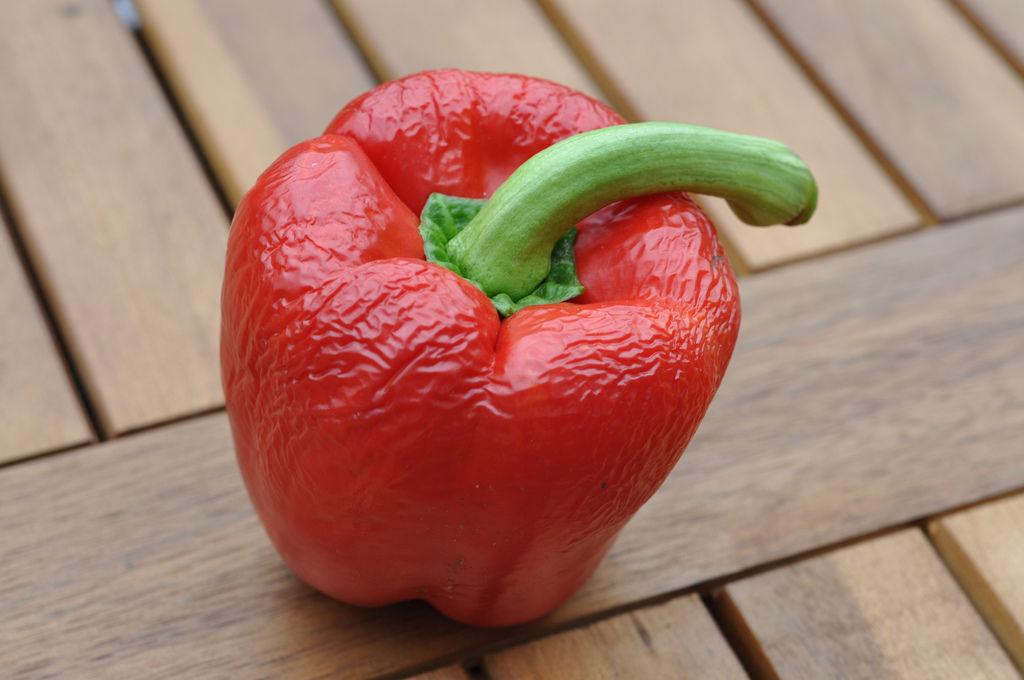 Grüne Paprika (engl. Green Peppers) Bilder und Fotos (Creative