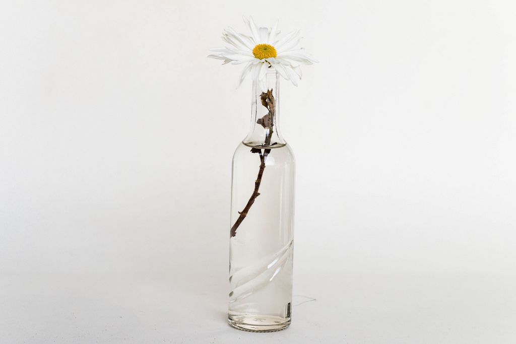 Small glass vase with flower Creative Commons Bilder