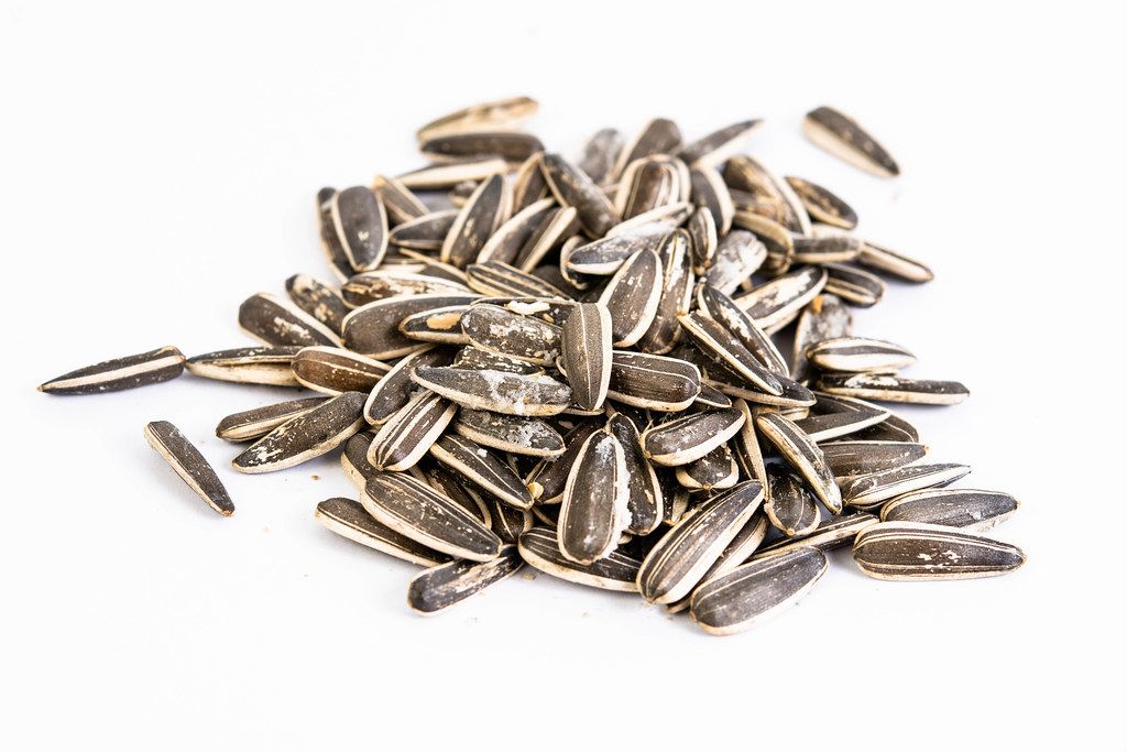 Sunflower Seeds isolated above white background Creative Commons Bilder
