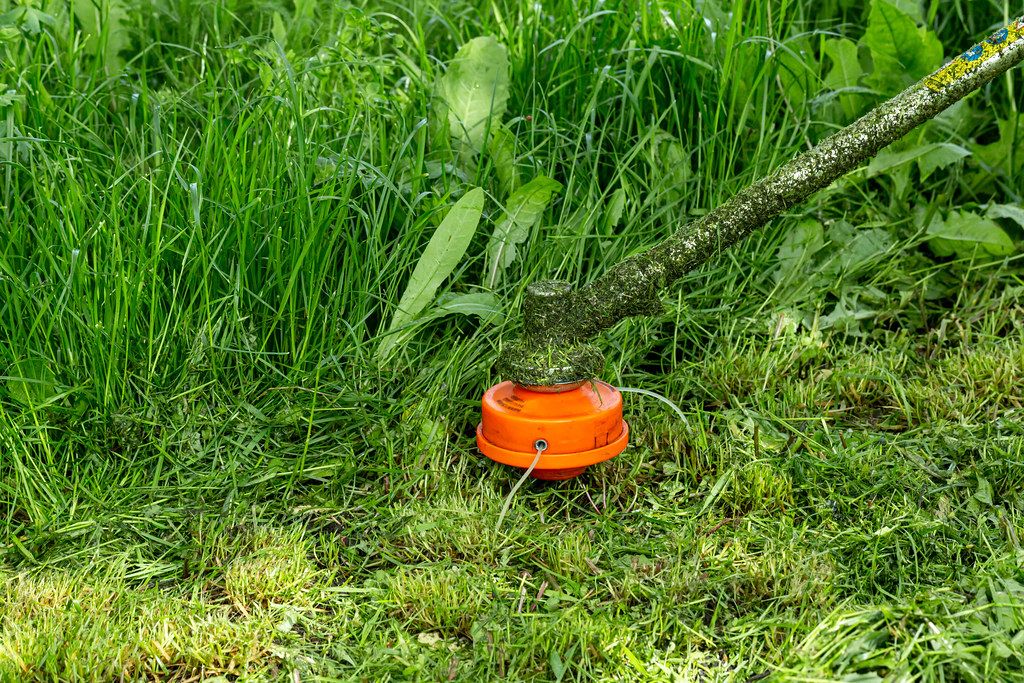 A man mows grass with an old electric lawn mower Creative Commons Bilder