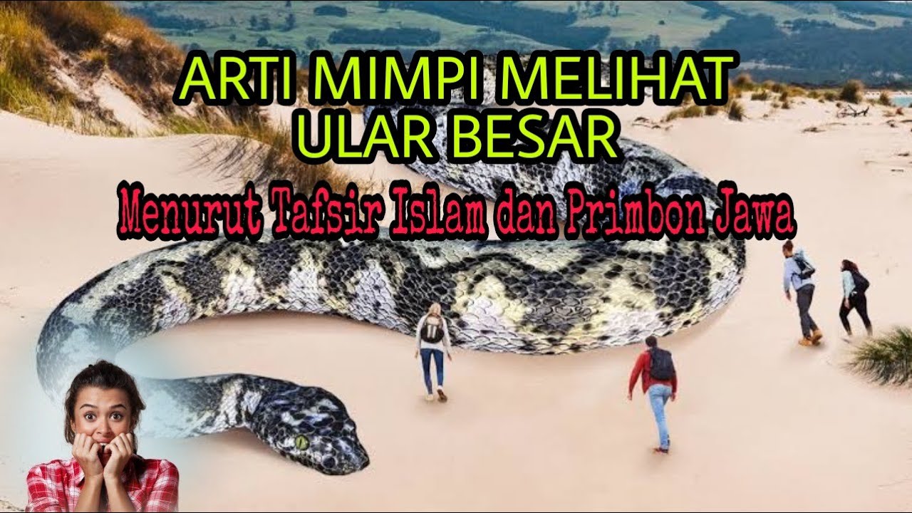 Arti Mimpi Melihat Ular Besar Dan Panjang Menurut Islam