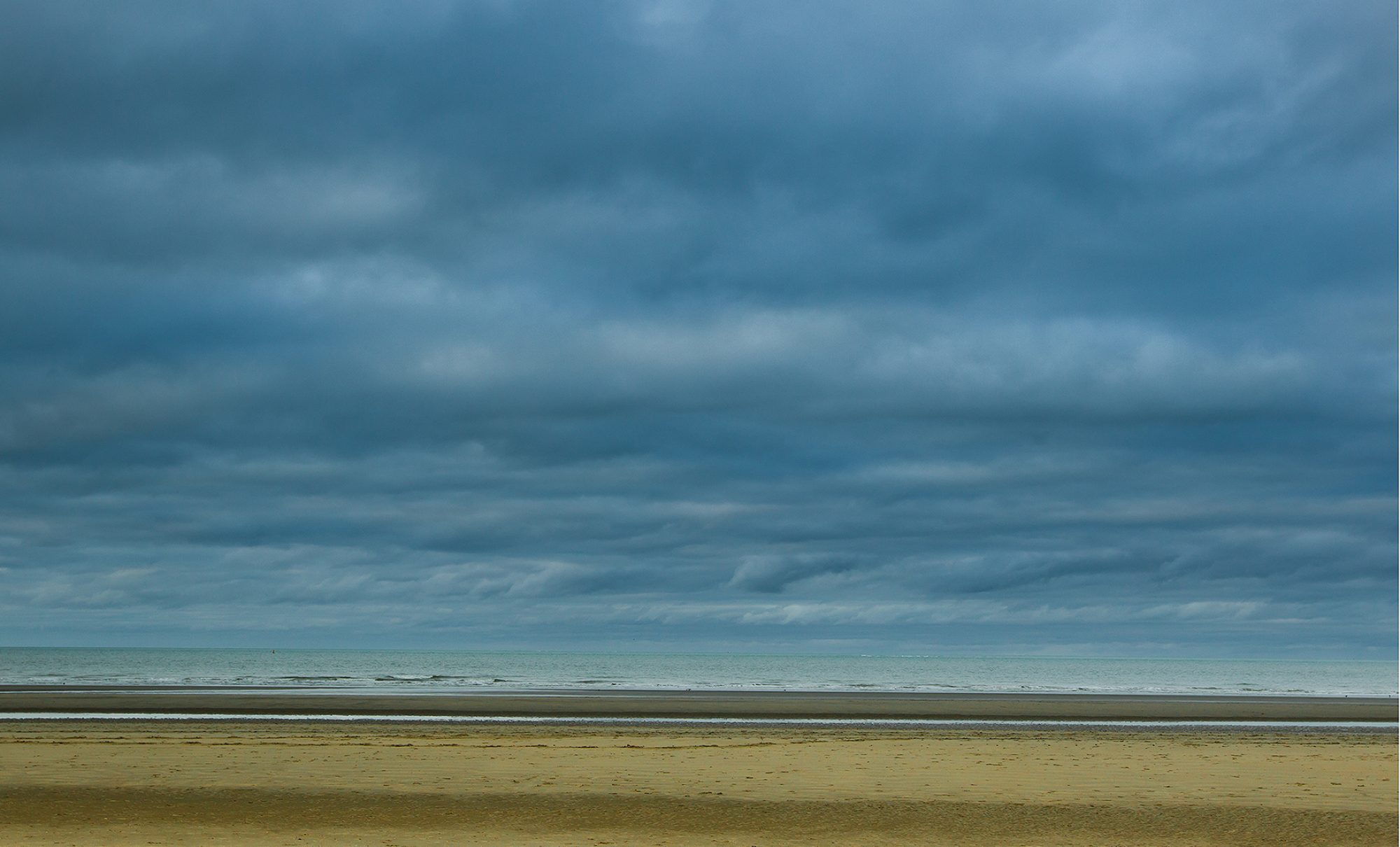 La bête à Bon Dieu se met à table fotografiabe