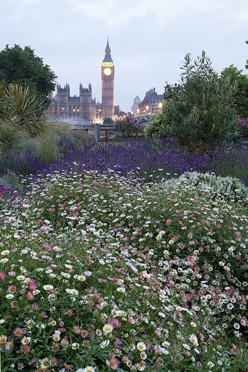 How To Create HDR With Exposure Blending and Focus Stacking