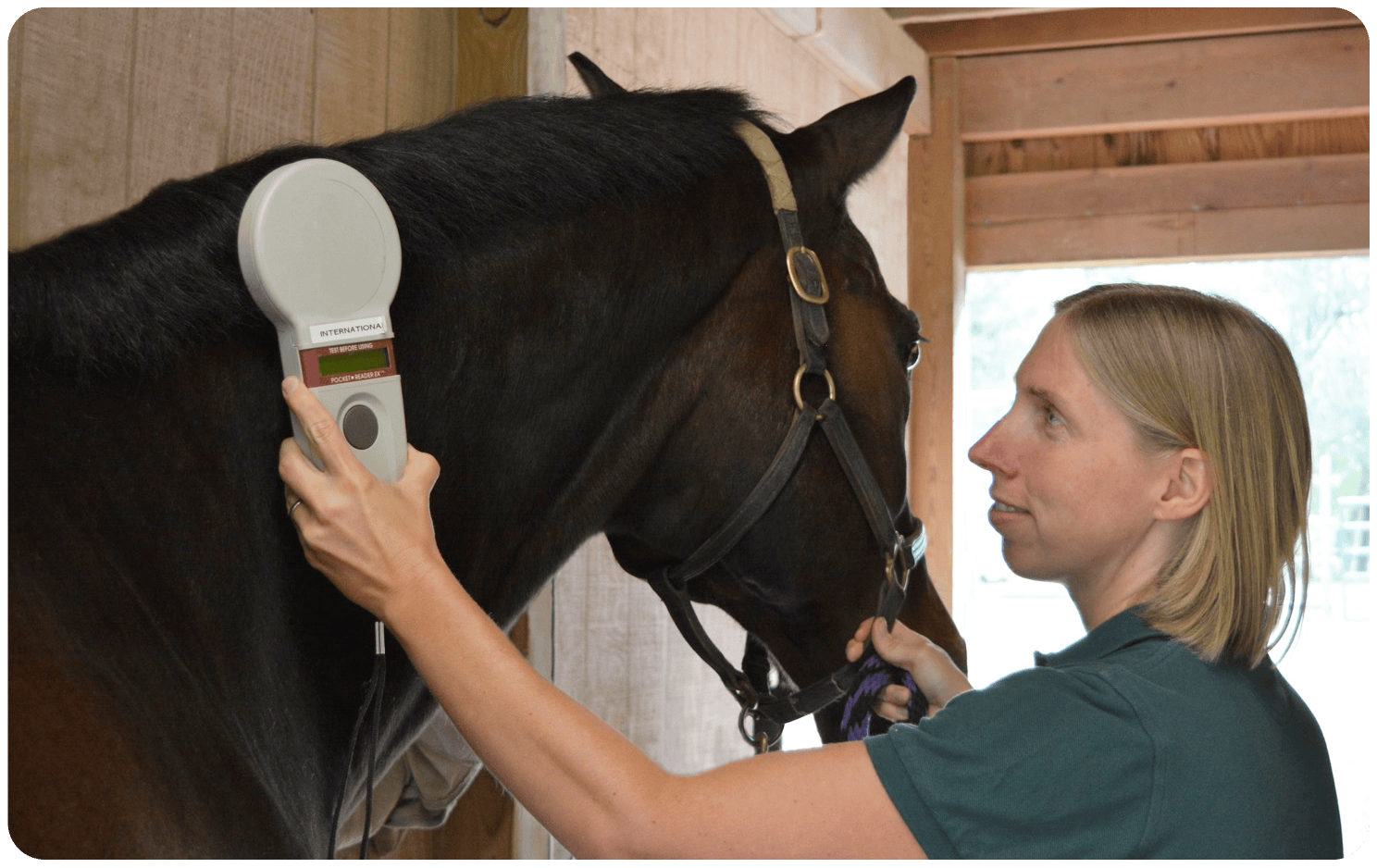 Microchip Identification Veterinarian in Crosswicks, NJ Foundation
