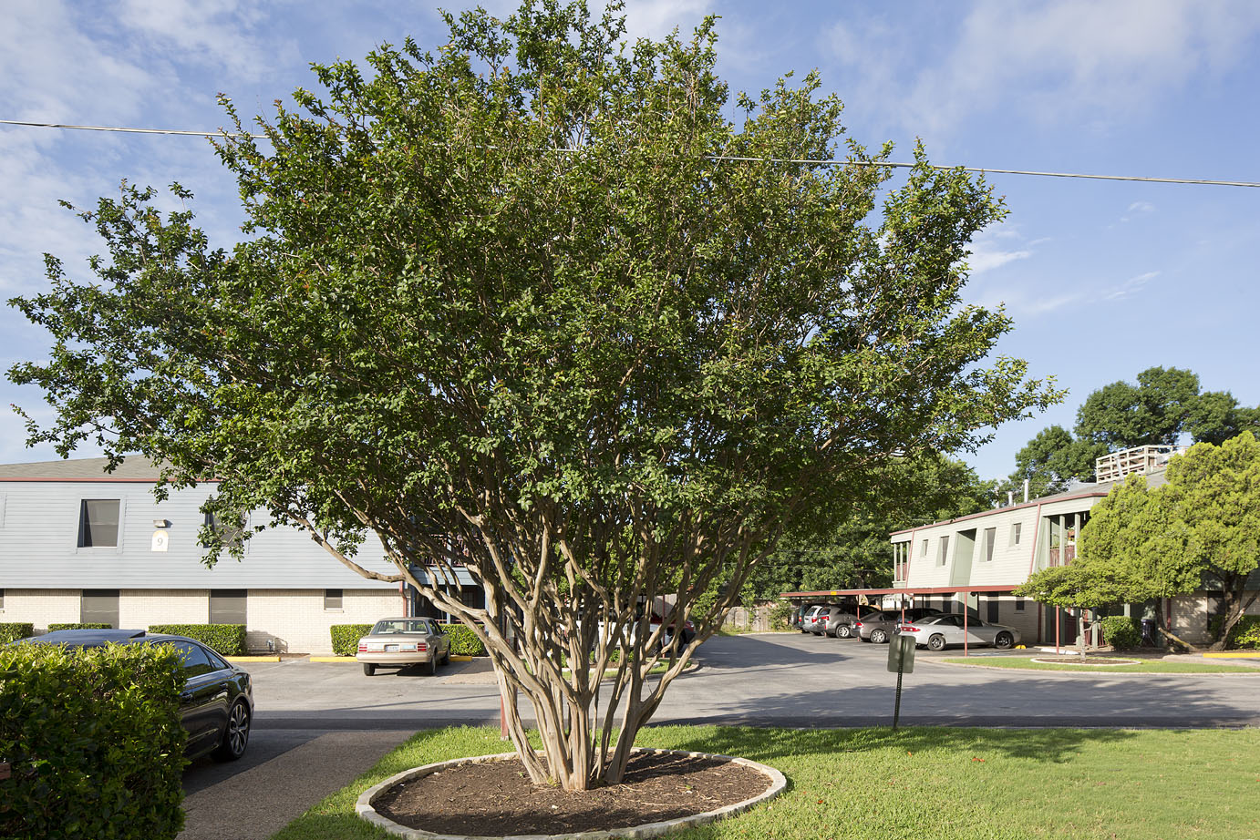 Foundation Communities Creating housing where families succeed in