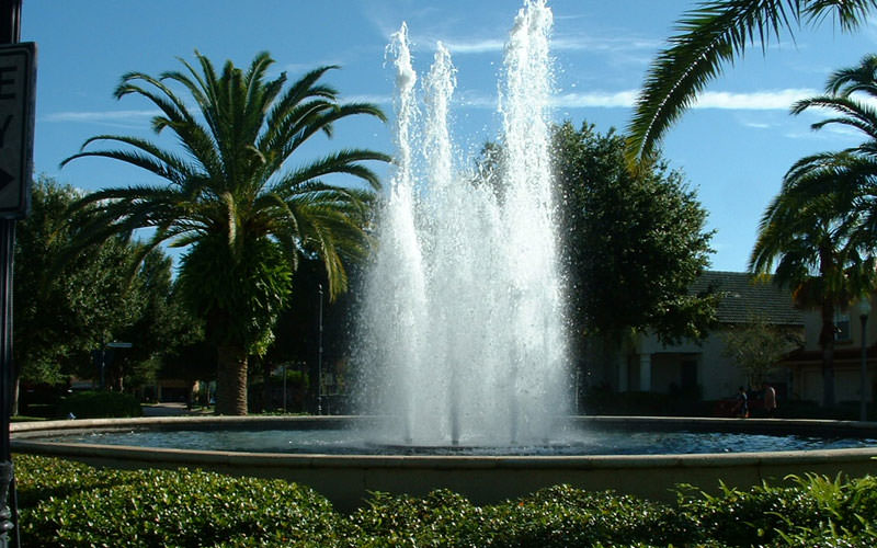Fountain Doctors Gallery