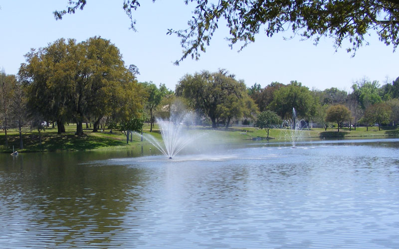Fountain Doctors Gallery