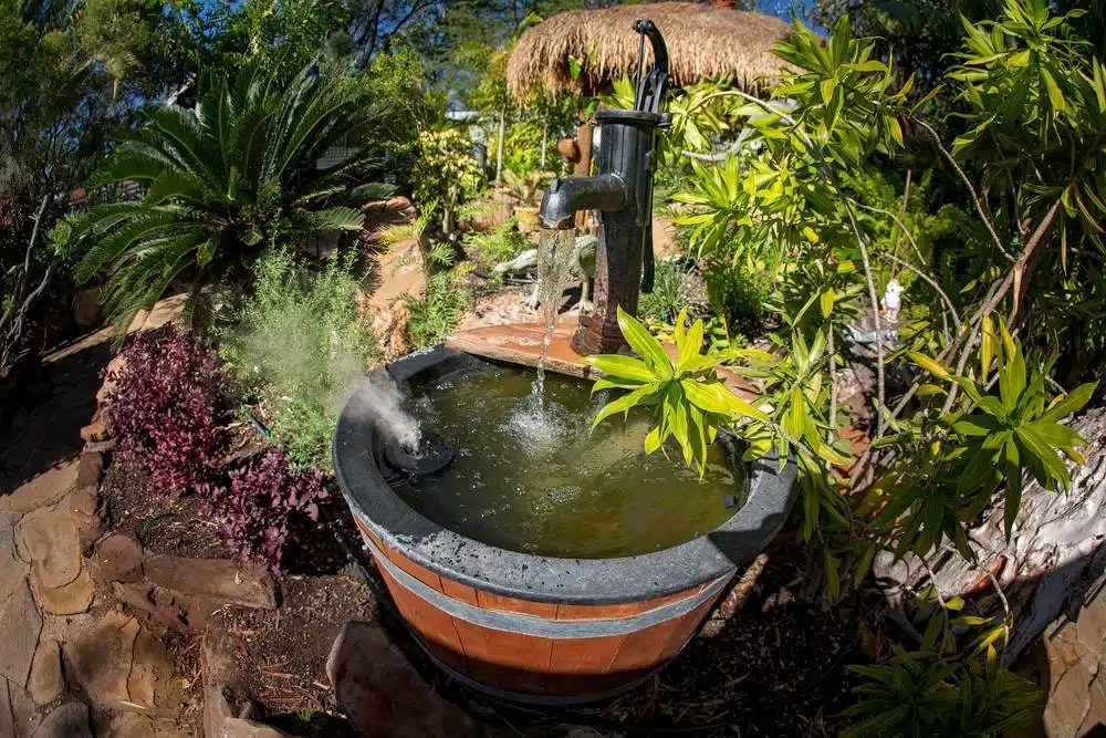 10 Steps to keep your fountains clean