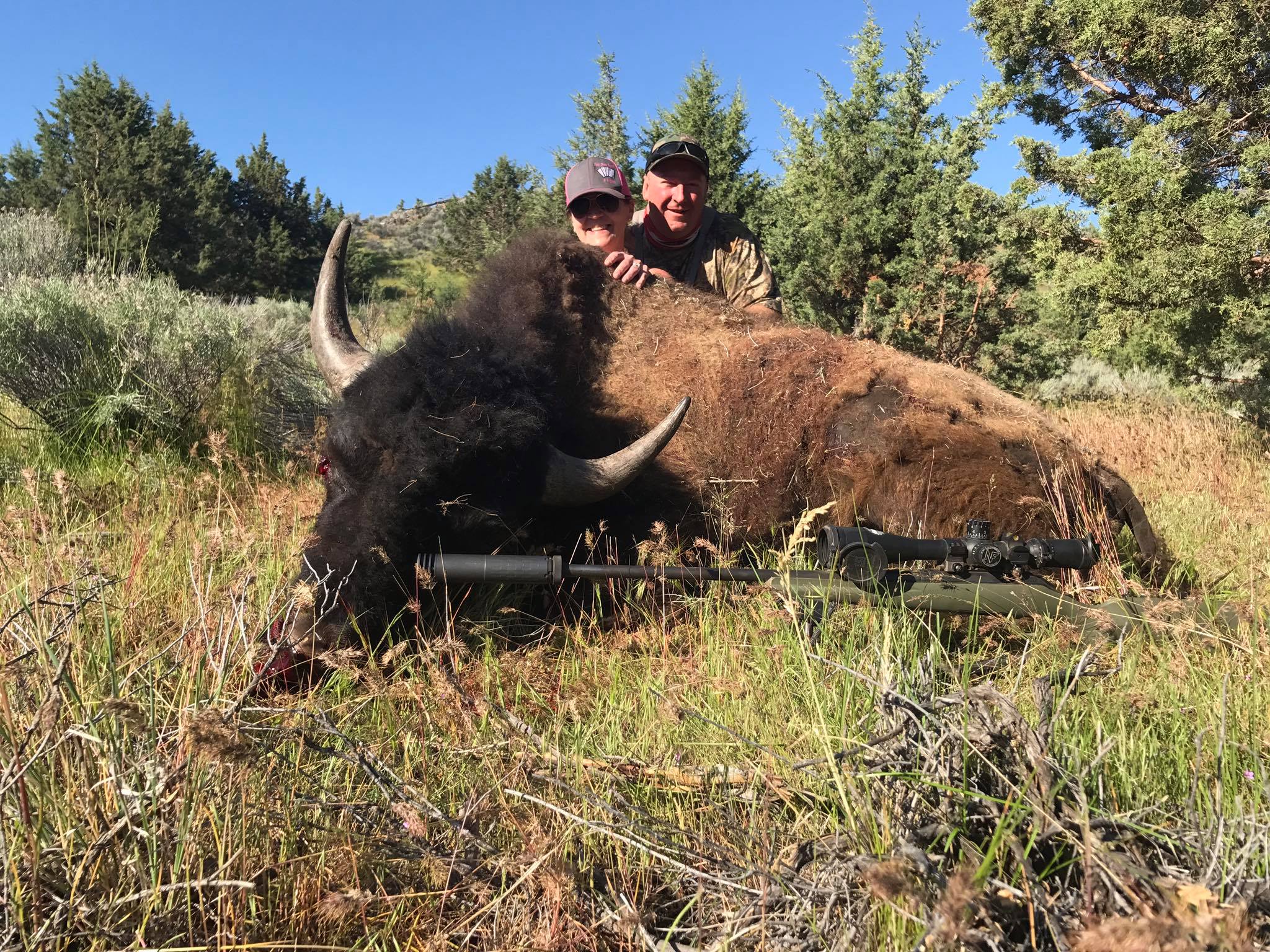 AMERICAN BISON Four Aces Ranch Exotic Hunting Ashwood, OR