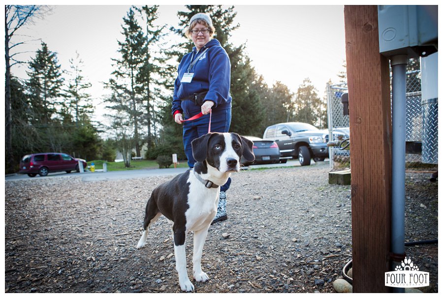 Kitsap Humane Society Adoptables Feb 5, 2014 Kitsap County