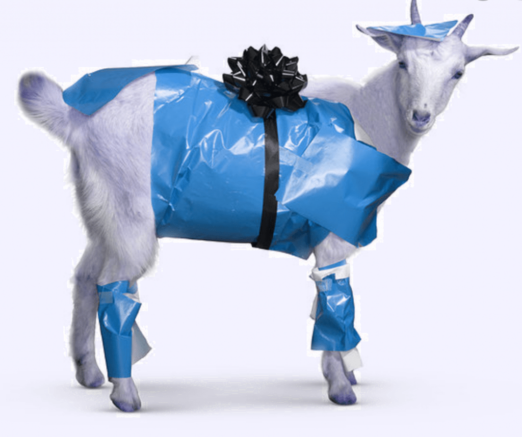 Four Goats Gift Card Four Goats Coffee Co.