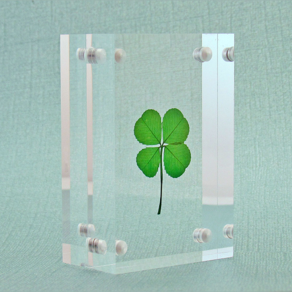 Four Leaf Clover in a Modern Frameless Clear Acrylic Free Standing