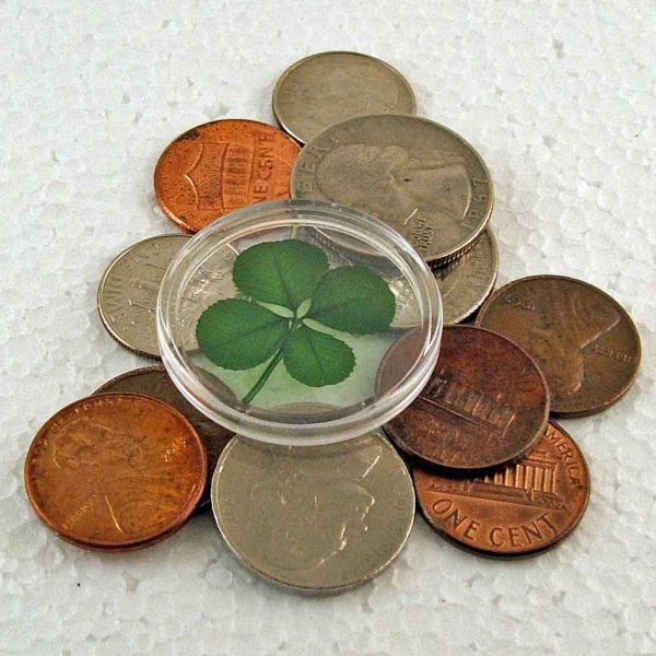 Four Leaf Clover Good Luck Charm Pocket Token