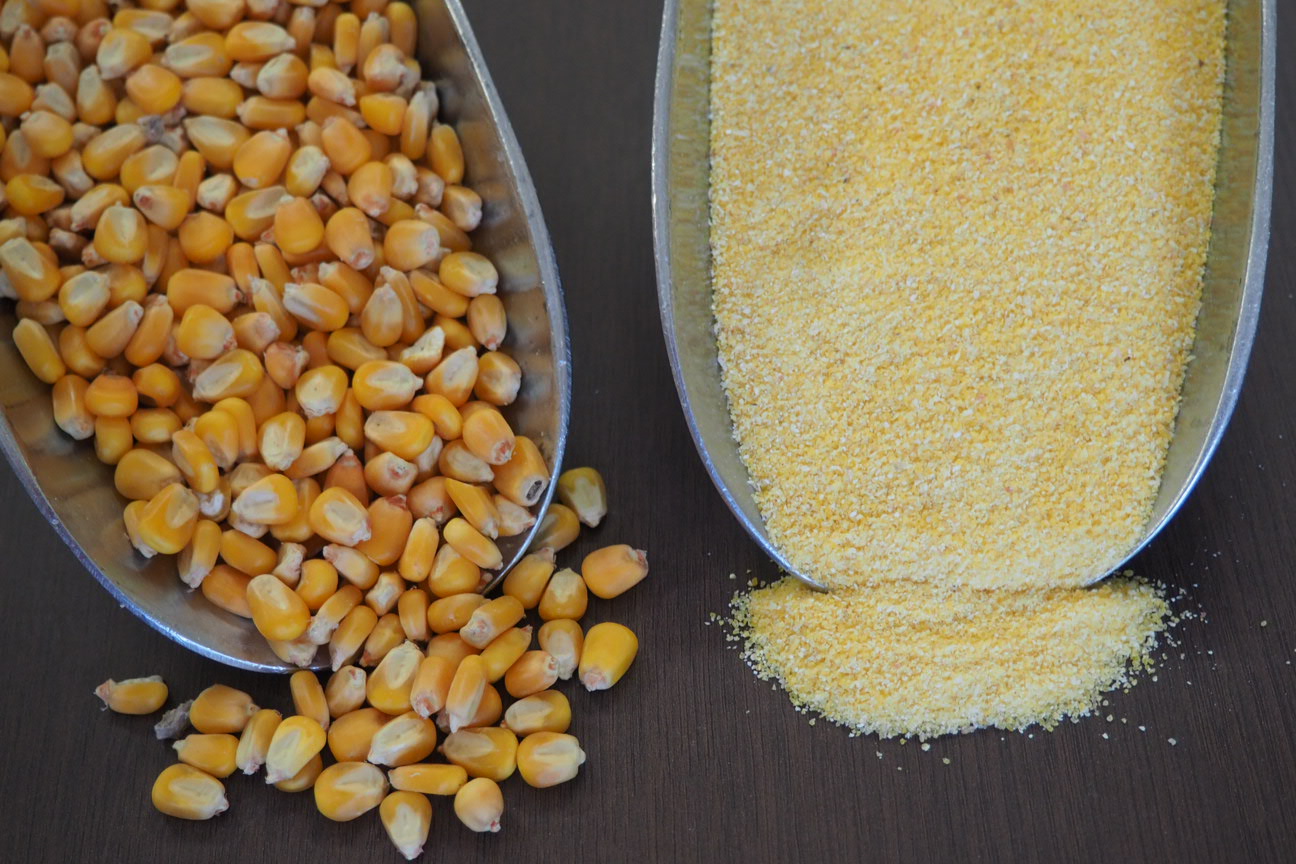Polenta (Maize Meal) (4kg) Four Leaf Milling