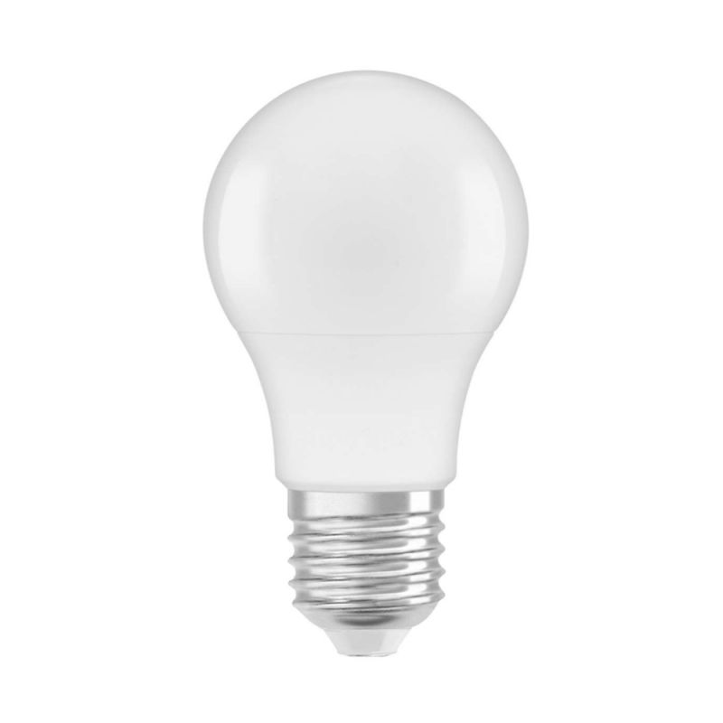 Ampoule LED blanc chaud E27 470lm Fourmiculture