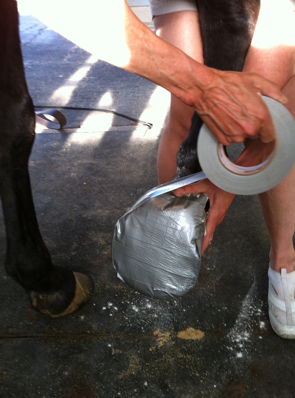 NO THRUSH Powder HowTo Guide “Wrapping a Hoof.”