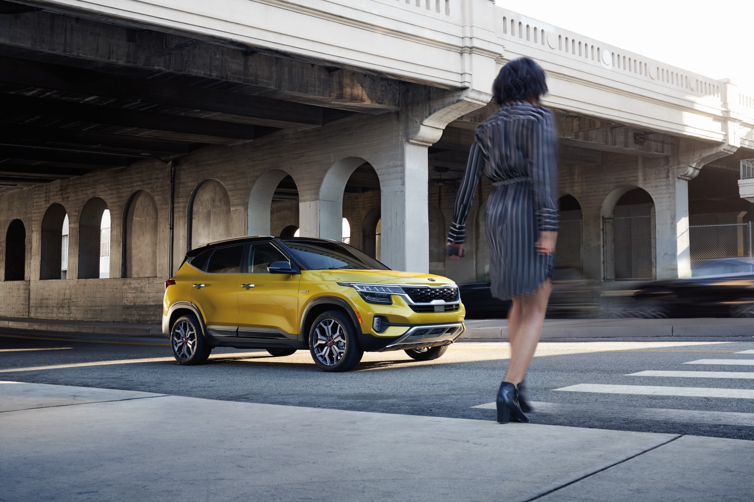 Kia Seltos in Cookeville, TN New & Used Cumberland Kia