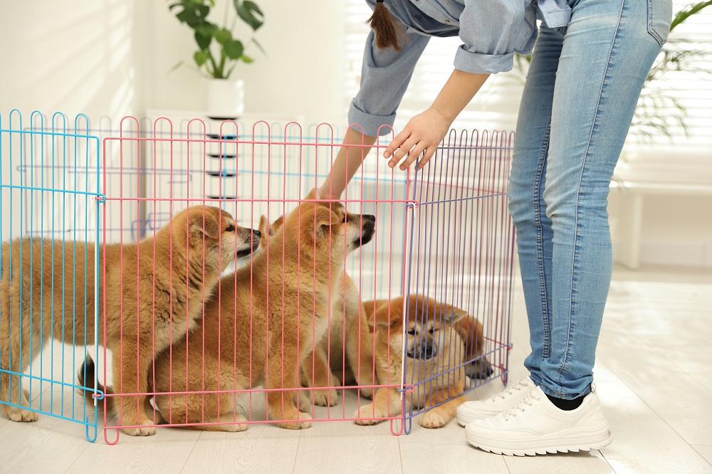 Best Dog Playpen for Large and Small Breed Dogs 2020 Buyers Guide