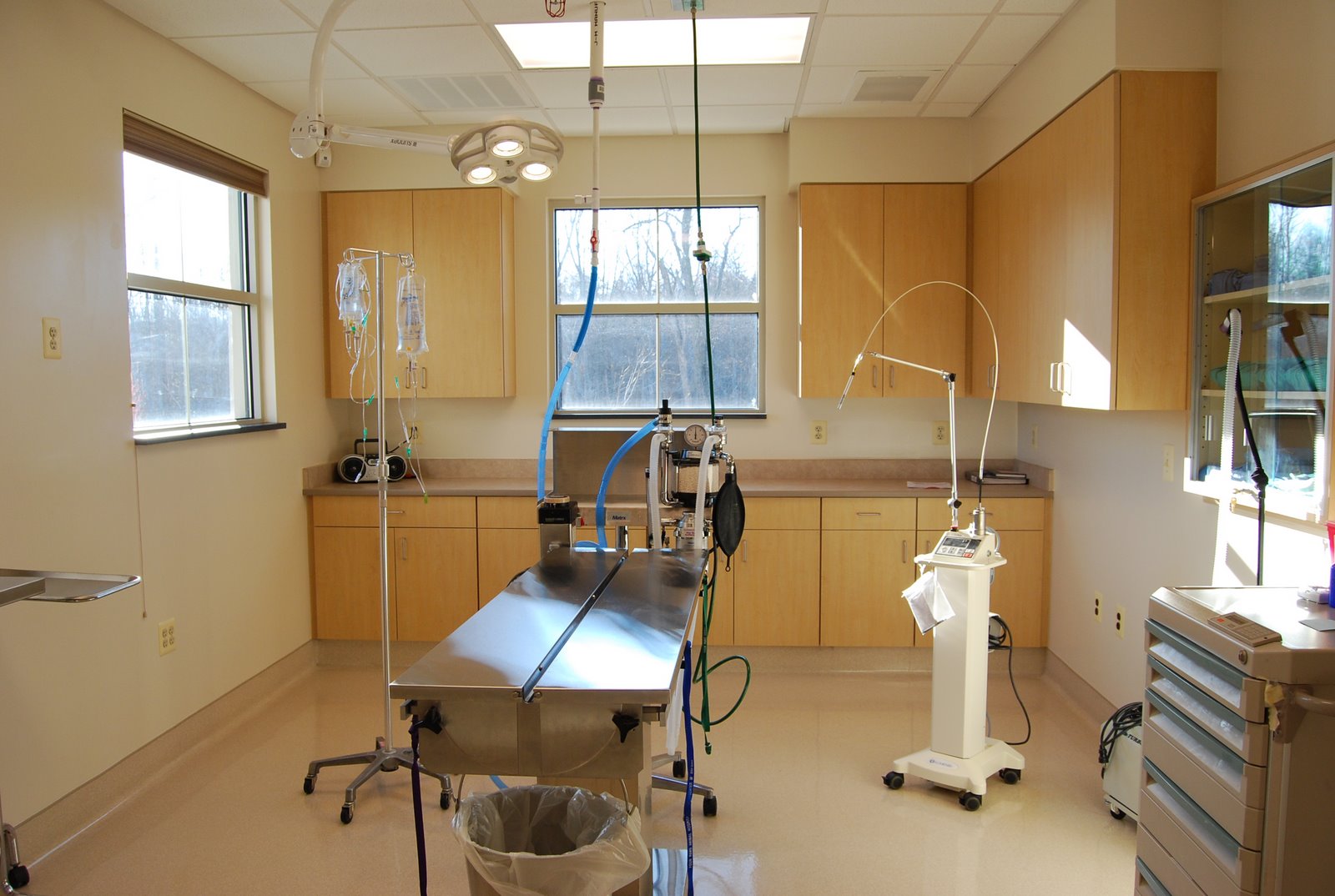 Fredericksburg, VA 22407 Veterinary Reviews Four Paws Animal Hospital