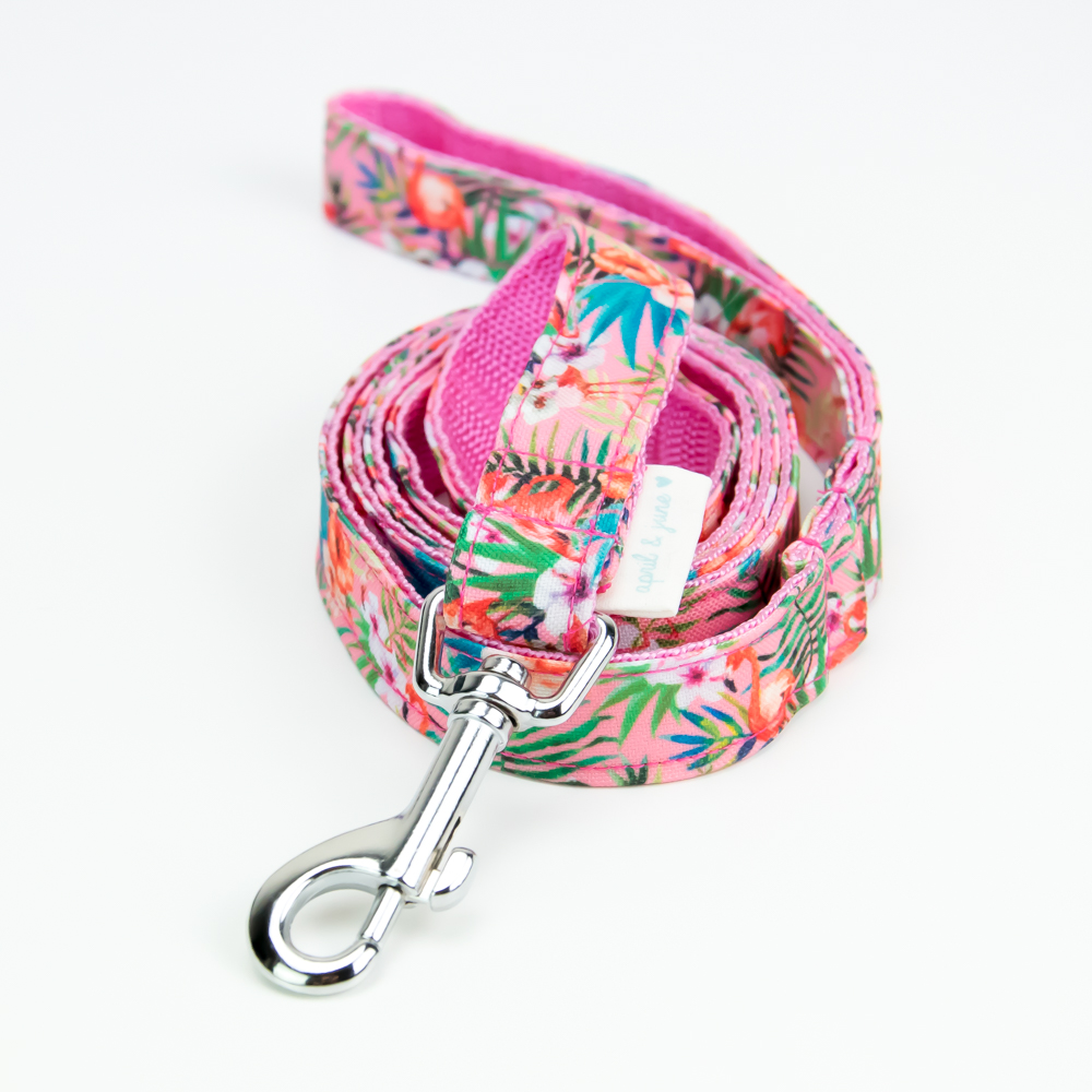 Summer Pink Dog Leash Pet Supplies and Supplements Four Paws Bureau
