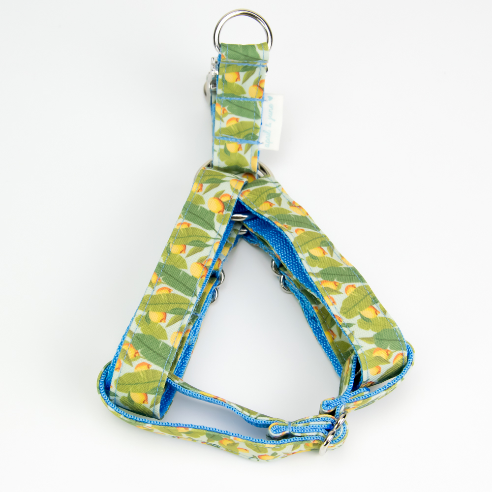 Summer Lemons Dog Harness Four Paws Bureau