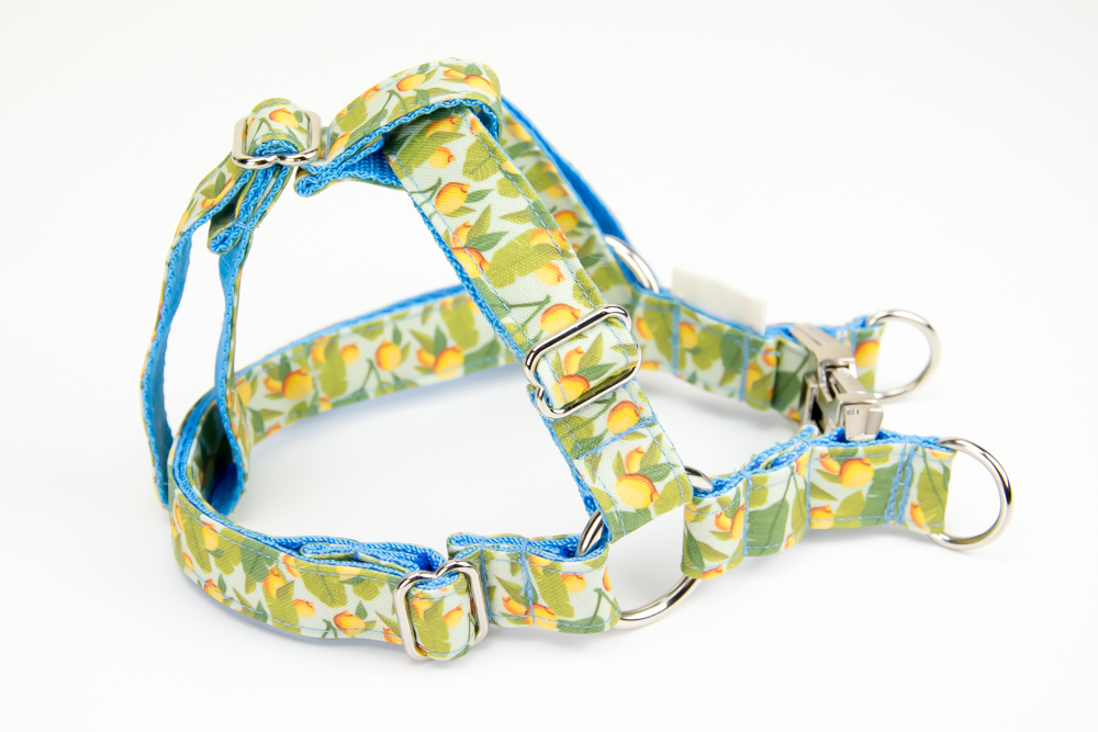 Summer Lemons Dog Harness Four Paws Bureau