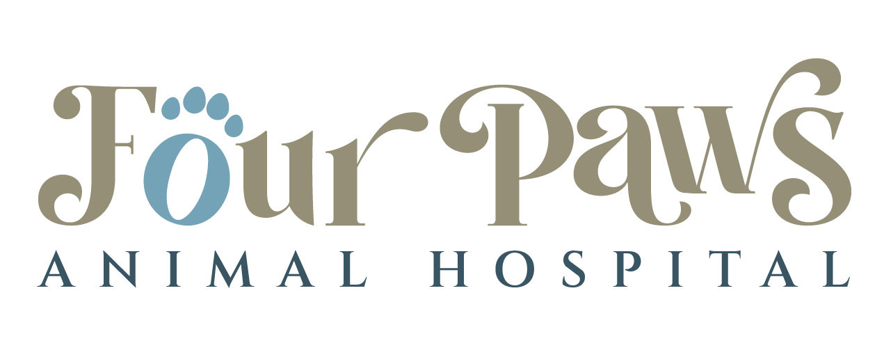 Rowlett, TX Veterinary FAQs Four Paws Animal Hospital