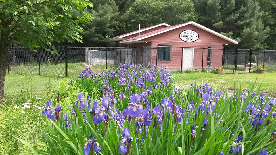 Four Paws Inn Four Paws Ready Inn