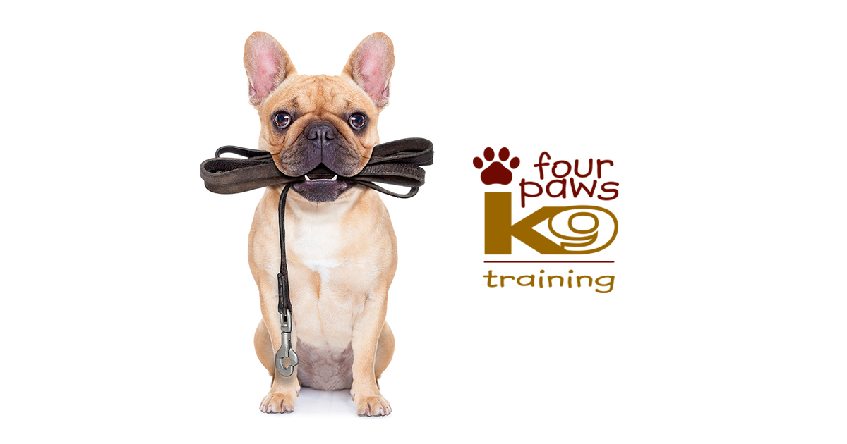 Dog and Puppy Training Melbourne Four Paws K9 Training