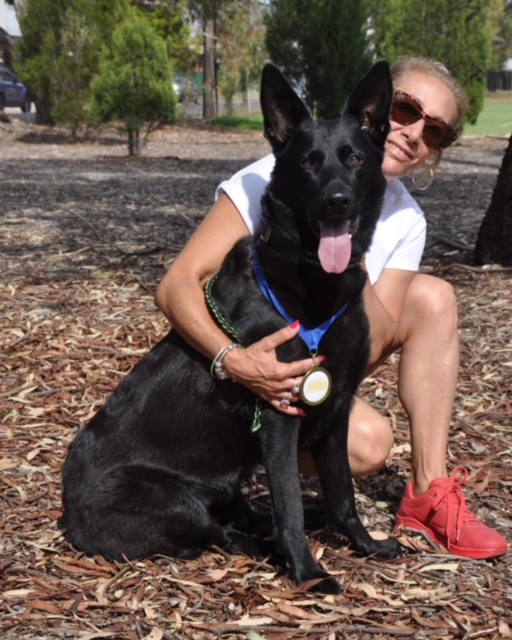 About Us Four Paws K9 Training