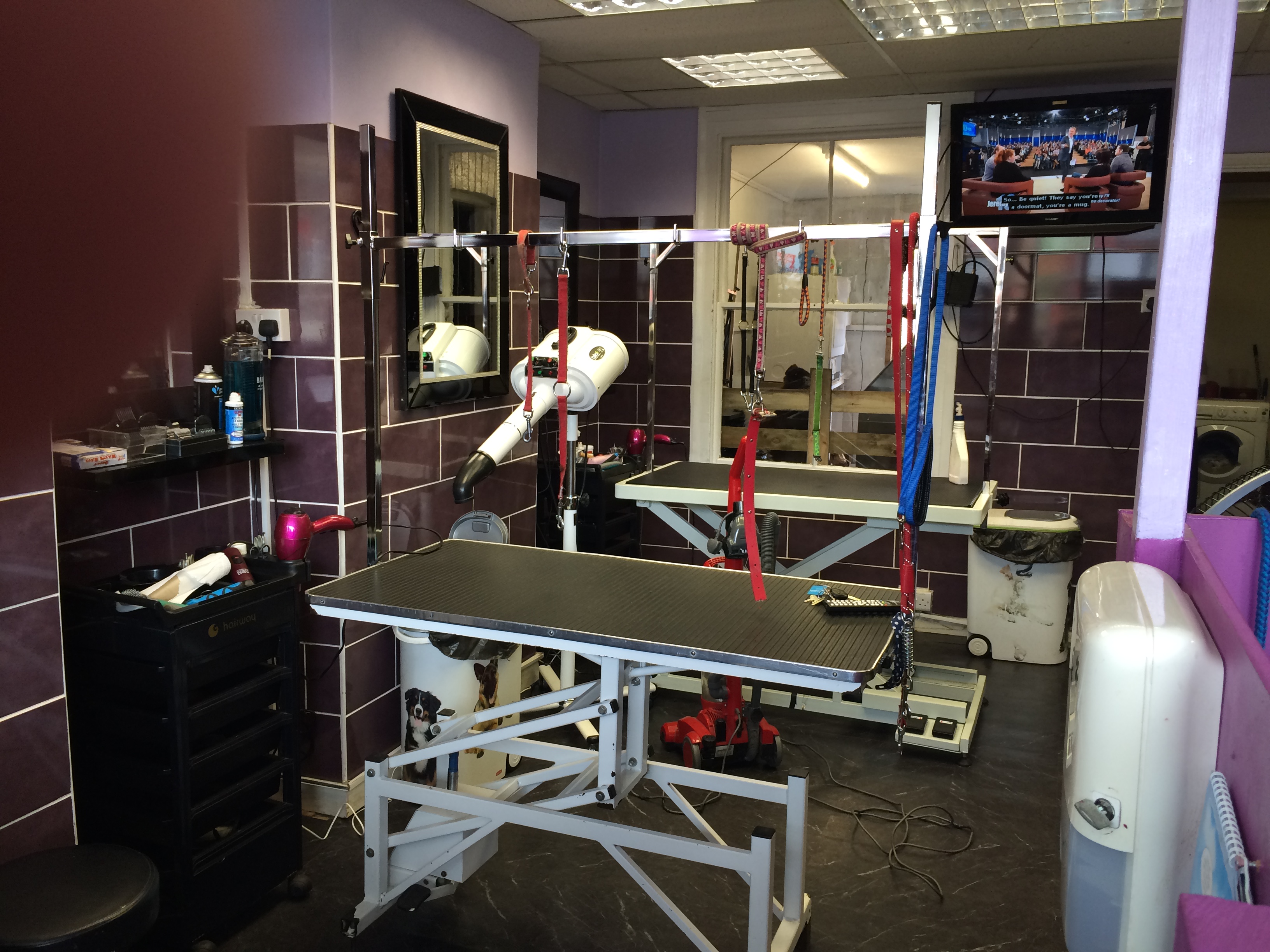 Four Paws Pet Grooming Ltd