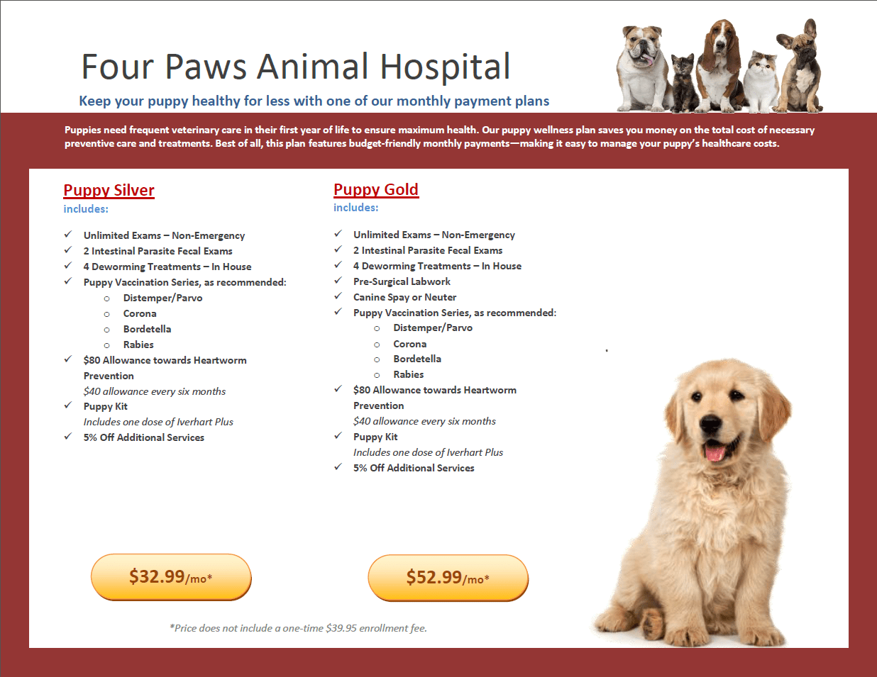 Puppy Wellness Plans Veterinarians Statham Four Paws Animal