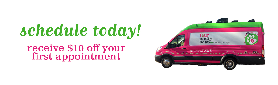 sitting pretty mobile dog grooming