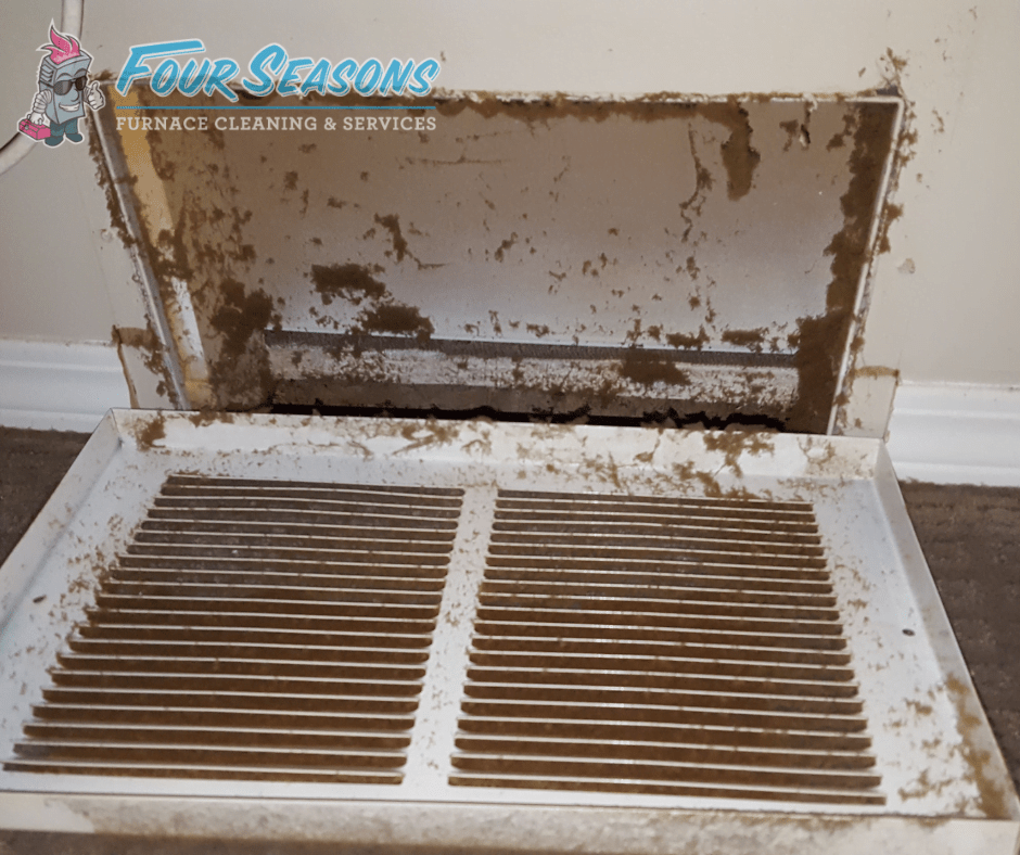Furnace & Duct Cleaning Four Seasons Furnace Services
