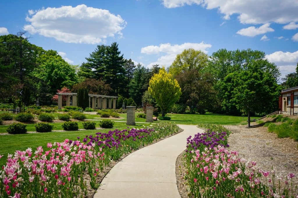 Landscape Design in Louisville, KY Installation, Edging, Outdoor Lighting