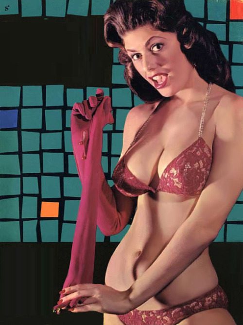 Remember When - Discoveries of a Mid Century Mind