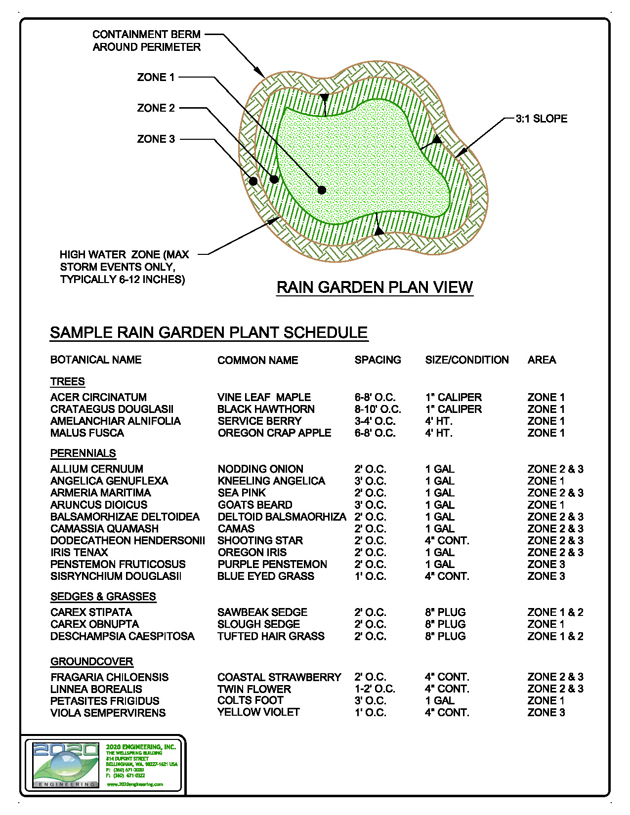 Rain Gardens A Low Tech Approach to Stormwater Management