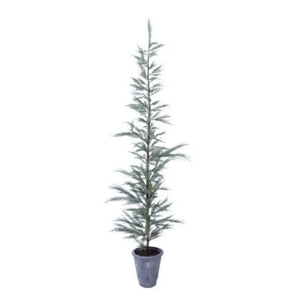Potted Cedar Tree, 88" Fourth Interiors