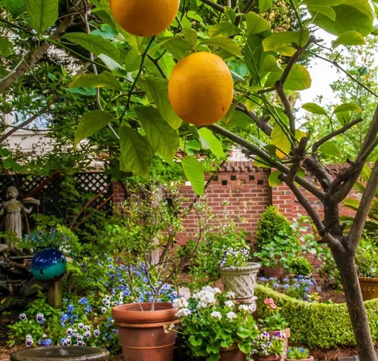 Secret Garden Tour of Fourth Ward Charlotte North Carolina