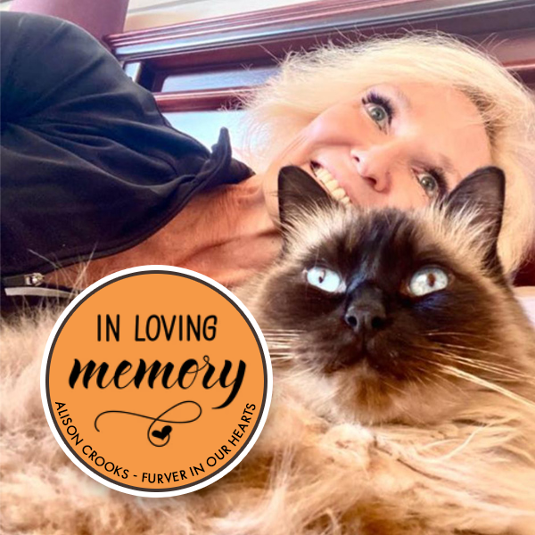 Cattery Fourways Veterinary Clinic Cape Town